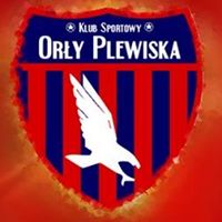 Orły Plewiska 3:6 (2:1, 1:3, 0:2) Okoń Sapowice