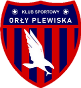 Orły Plewiska