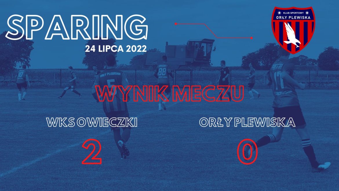 SPARING: WKS Owieczki 2-01 Orły Plewiska